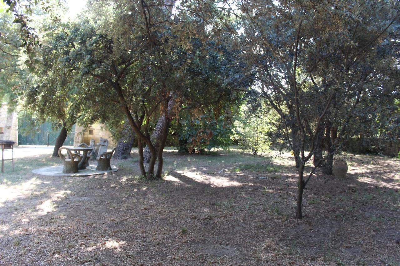Le Mas De Lucien Entre Arles, Nimes, Avignon. Beaucaire  Bagian luar foto