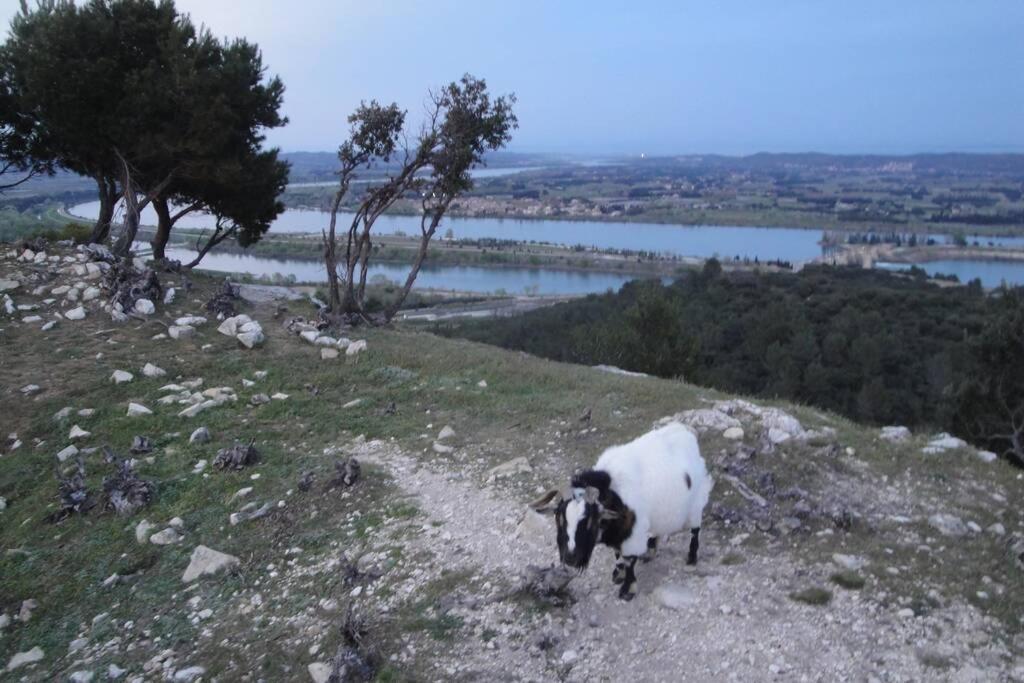 Le Mas De Lucien Entre Arles, Nimes, Avignon. Beaucaire  Bagian luar foto