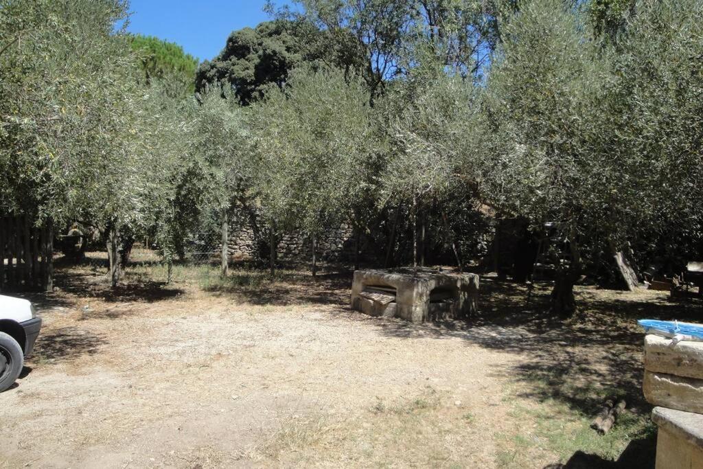 Le Mas De Lucien Entre Arles, Nimes, Avignon. Beaucaire  Bagian luar foto